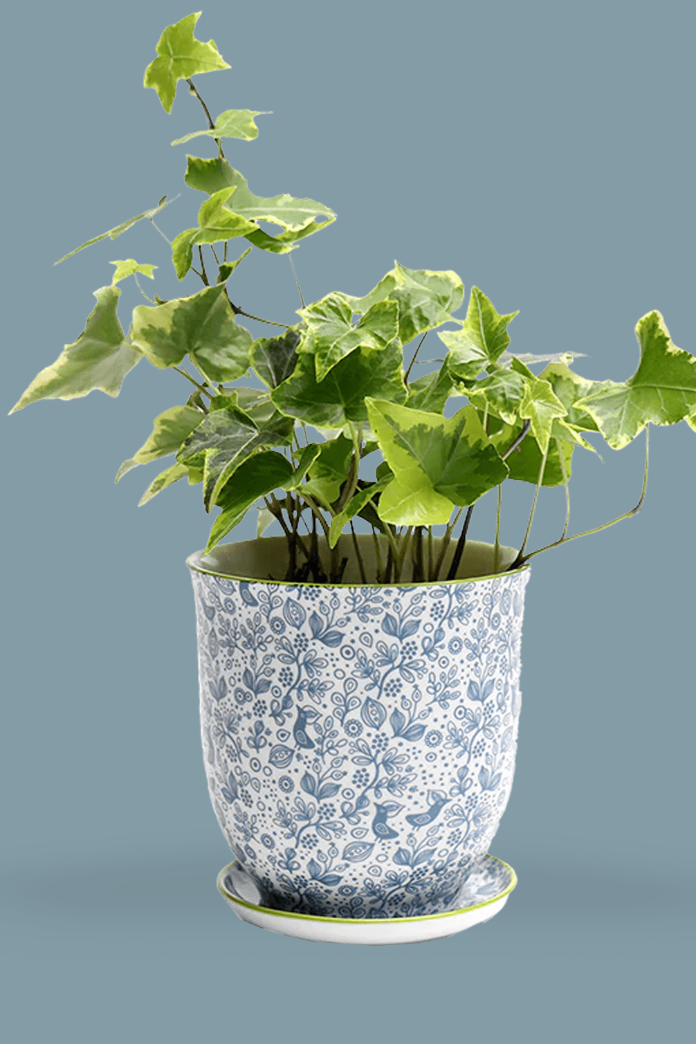 Liberte Porcelain 4.25" Pot And Saucer - Chive Ceramics Studio - Pots - Chive Ceramics Studio