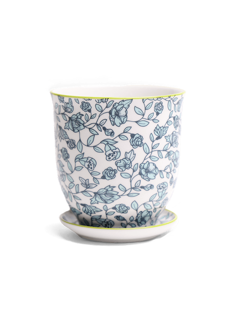 Liberte Porcelain Pot And Saucer Set With Drainage - Chive Ceramics Studio - Pots - Chive Ceramics Studio