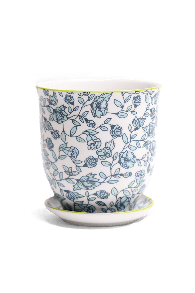 Liberte Porcelain Pot And Saucer Set With Drainage - Chive Ceramics Studio - Pots - Chive Ceramics Studio