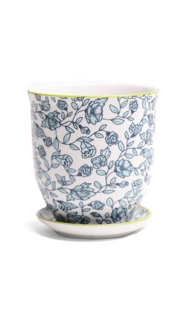 Liberte Porcelain Pot And Saucer Set With Drainage - Chive Ceramics Studio - Pots - Chive Ceramics Studio