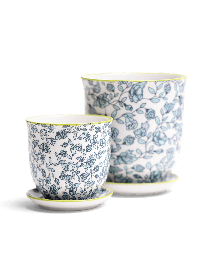 Liberte Porcelain Pot And Saucer Set With Drainage - Chive Ceramics Studio - Pots - Chive Ceramics Studio