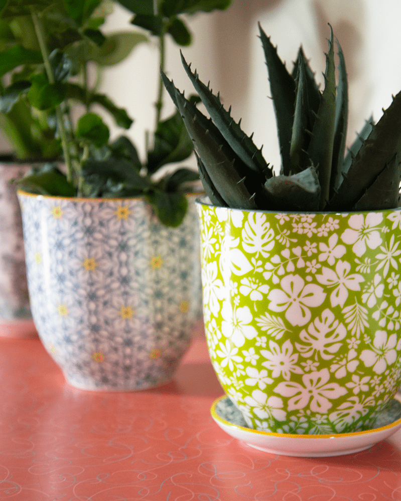 Liberte Porcelain Pot And Saucer Set With Drainage - Chive Ceramics Studio - Pots - Chive Ceramics Studio