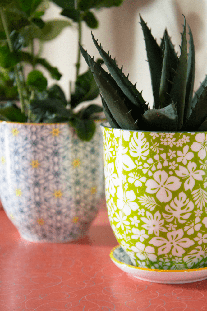 Liberte Porcelain Pot And Saucer Set With Drainage - Chive Ceramics Studio - Pots - Chive Ceramics Studio