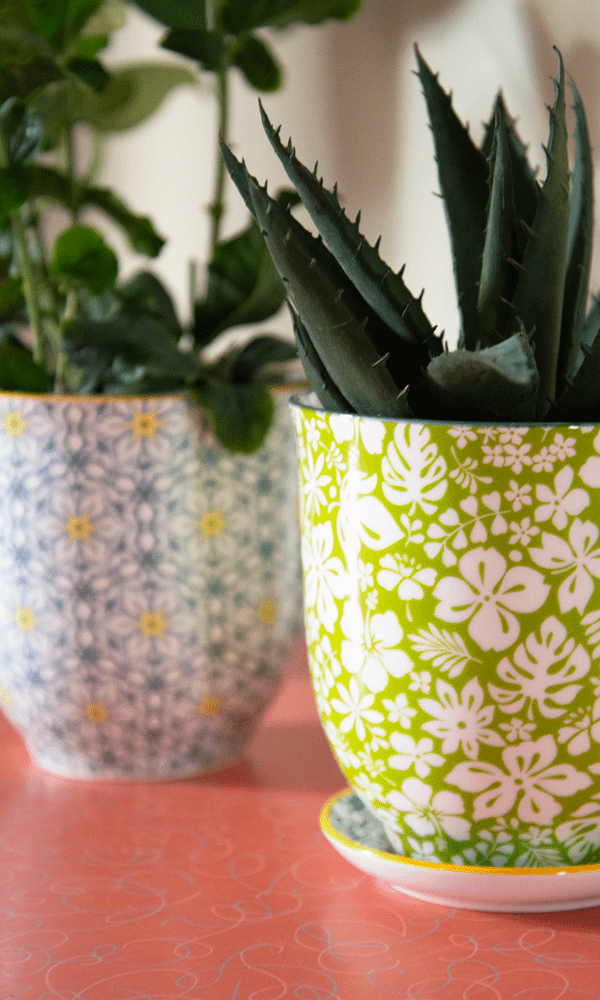 Liberte Porcelain Pot And Saucer Set With Drainage - Chive Ceramics Studio - Pots - Chive Ceramics Studio
