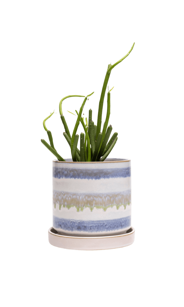 Minute Ceramic Pot And Saucer Set With Drainage - Chive Ceramics Studio - Pots - Chive Ceramics Studio