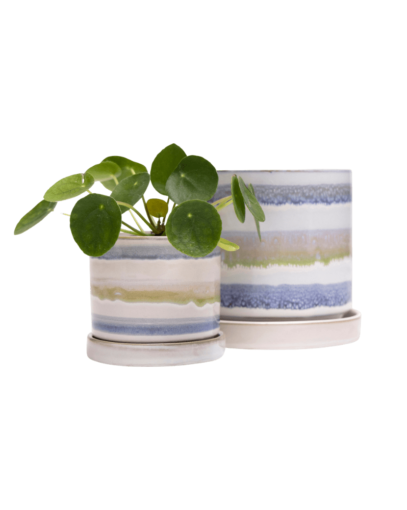 Minute Ceramic Pot And Saucer Set With Drainage - Chive Ceramics Studio - Pots - Chive Ceramics Studio