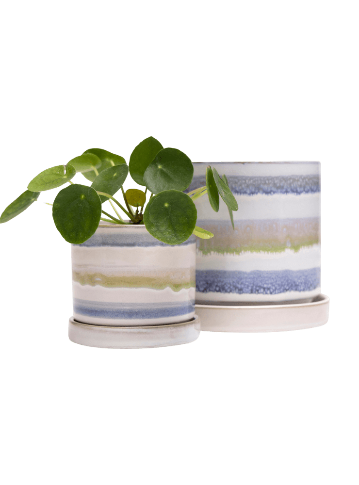 Minute Ceramic Pot And Saucer Set With Drainage - Chive Ceramics Studio - Pots - Chive Ceramics Studio