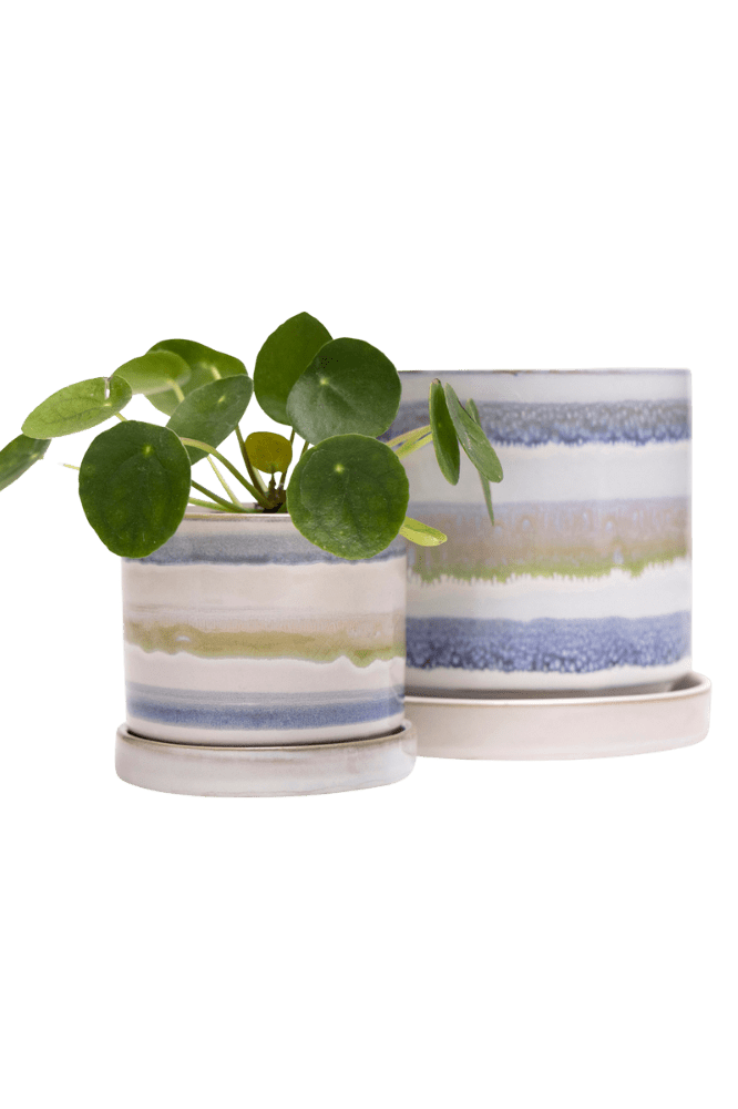 Minute Ceramic Pot And Saucer Set With Drainage - Chive Ceramics Studio - Pots - Chive Ceramics Studio