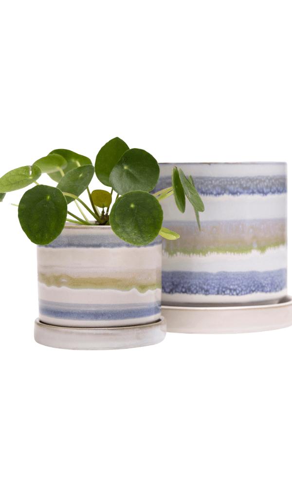 Minute Ceramic Pot And Saucer Set With Drainage - Chive Ceramics Studio - Pots - Chive Ceramics Studio