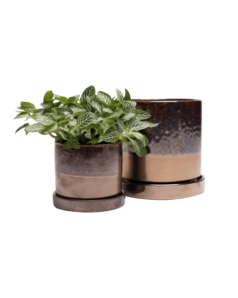 Minute Ceramic Pot And Saucer Set With Drainage - Chive Ceramics Studio - Pots - Chive Ceramics Studio