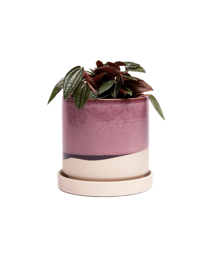 Minute Ceramic Pot And Saucer Set With Drainage - Chive Ceramics Studio - Pots - Chive Ceramics Studio