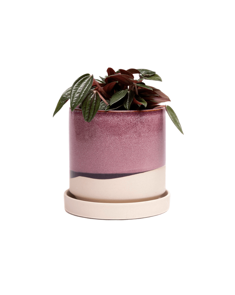 Minute Ceramic Pot And Saucer Set With Drainage - Chive Ceramics Studio - Pots - Chive Ceramics Studio