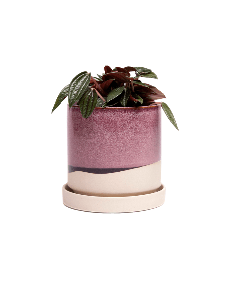 Minute Ceramic Pot And Saucer Set With Drainage - Chive Ceramics Studio - Pots - Chive Ceramics Studio