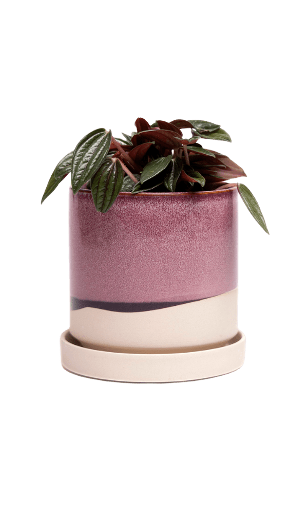 Minute Ceramic Pot And Saucer Set With Drainage - Chive Ceramics Studio - Pots - Chive Ceramics Studio