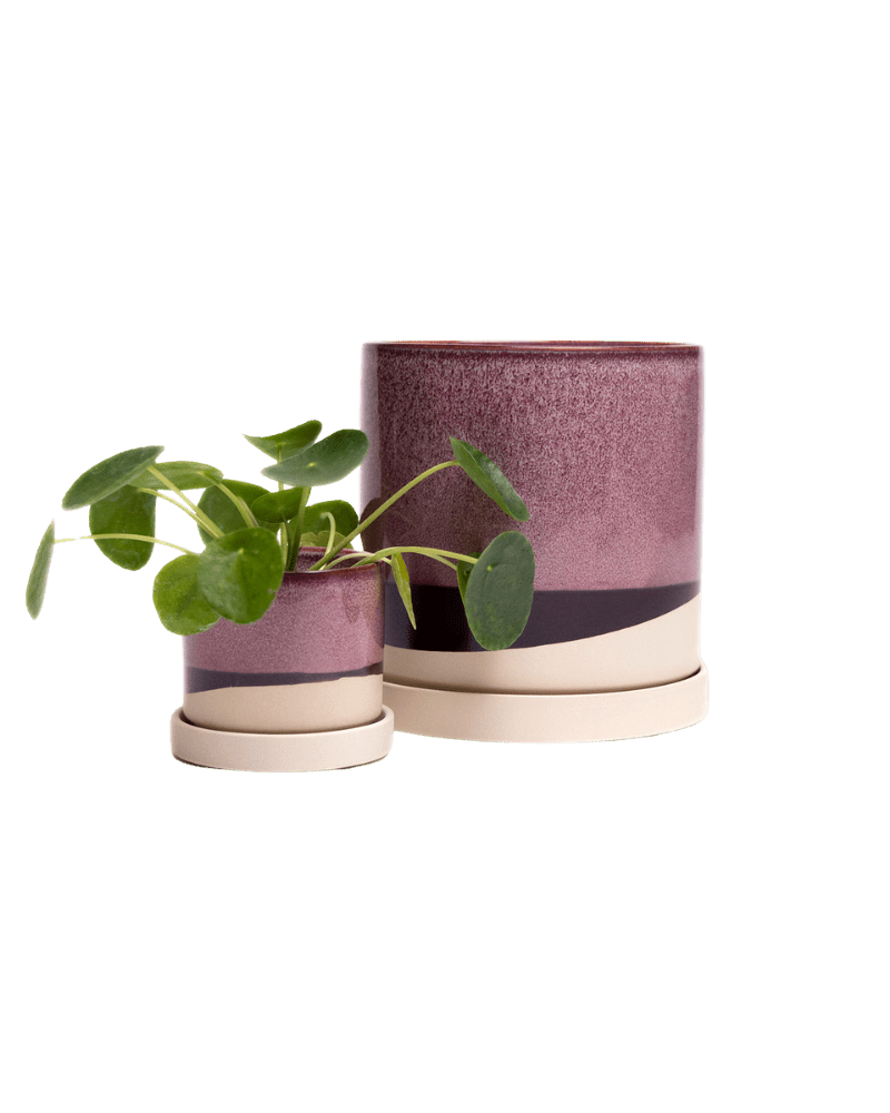 Minute Ceramic Pot And Saucer Set With Drainage - Chive Ceramics Studio - Pots - Chive Ceramics Studio