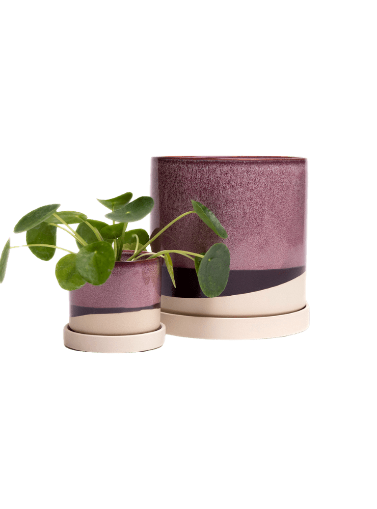 Minute Ceramic Pot And Saucer Set With Drainage - Chive Ceramics Studio - Pots - Chive Ceramics Studio