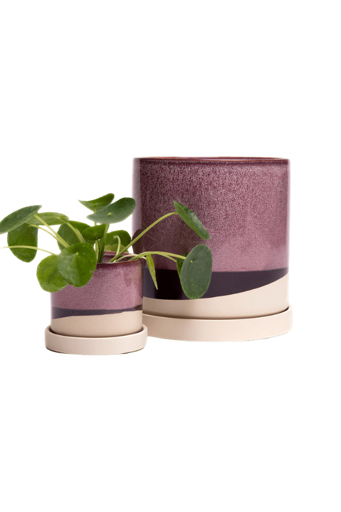 Minute Ceramic Pot And Saucer Set With Drainage - Chive Ceramics Studio - Pots - Chive Ceramics Studio