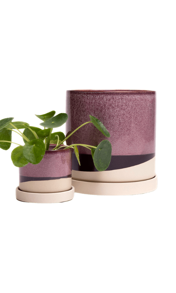 Minute Ceramic Pot And Saucer Set With Drainage - Chive Ceramics Studio - Pots - Chive Ceramics Studio