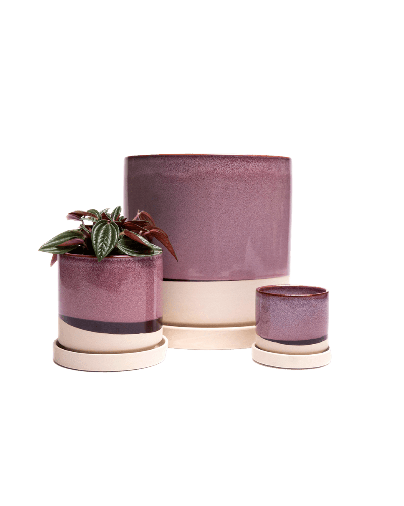 Minute Ceramic Pot And Saucer Set With Drainage - Chive Ceramics Studio - Pots - Chive Ceramics Studio