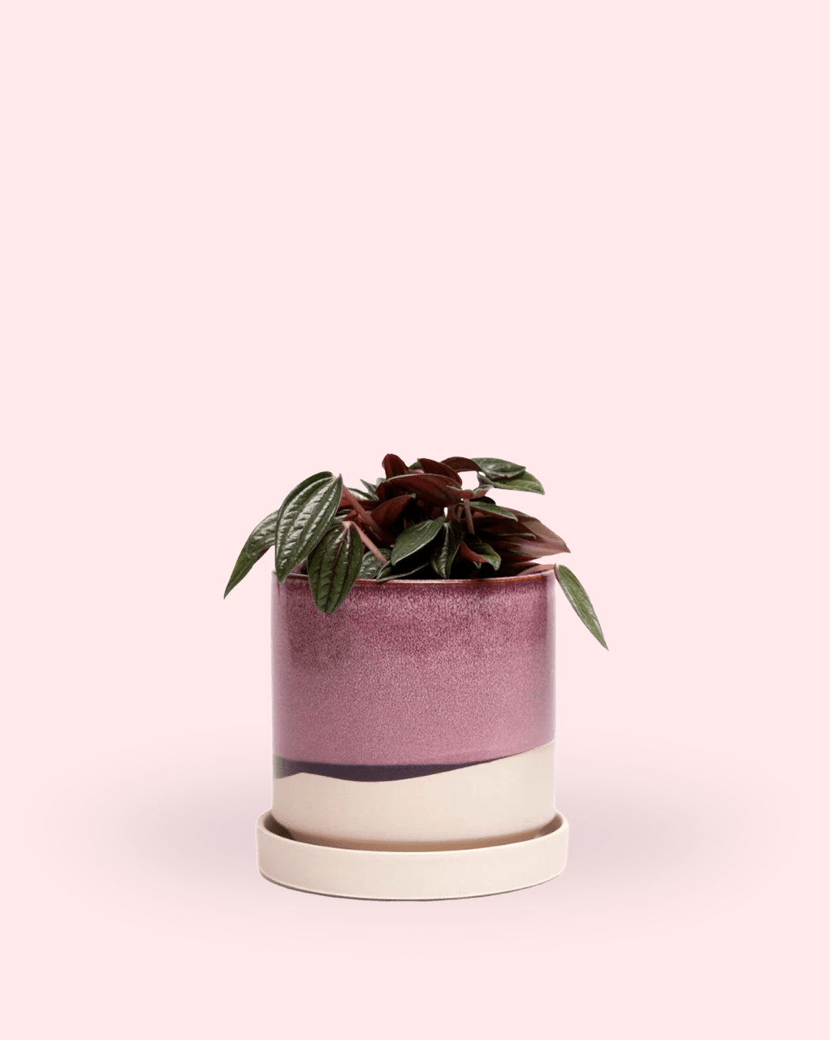 Minute Ceramic 5" Pot And Saucer Set - Chive Ceramics Studio - Pots - Chive Ceramics Studio