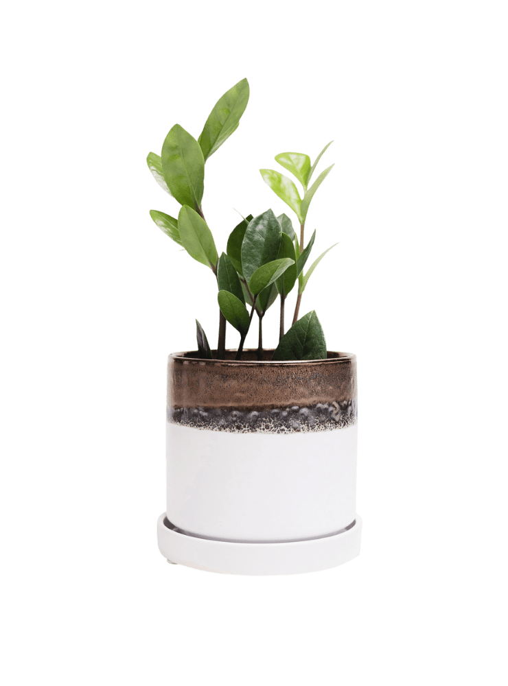 Minute Ceramic Pot And Saucer Set With Drainage - Chive Ceramics Studio - Pots - Chive Ceramics Studio