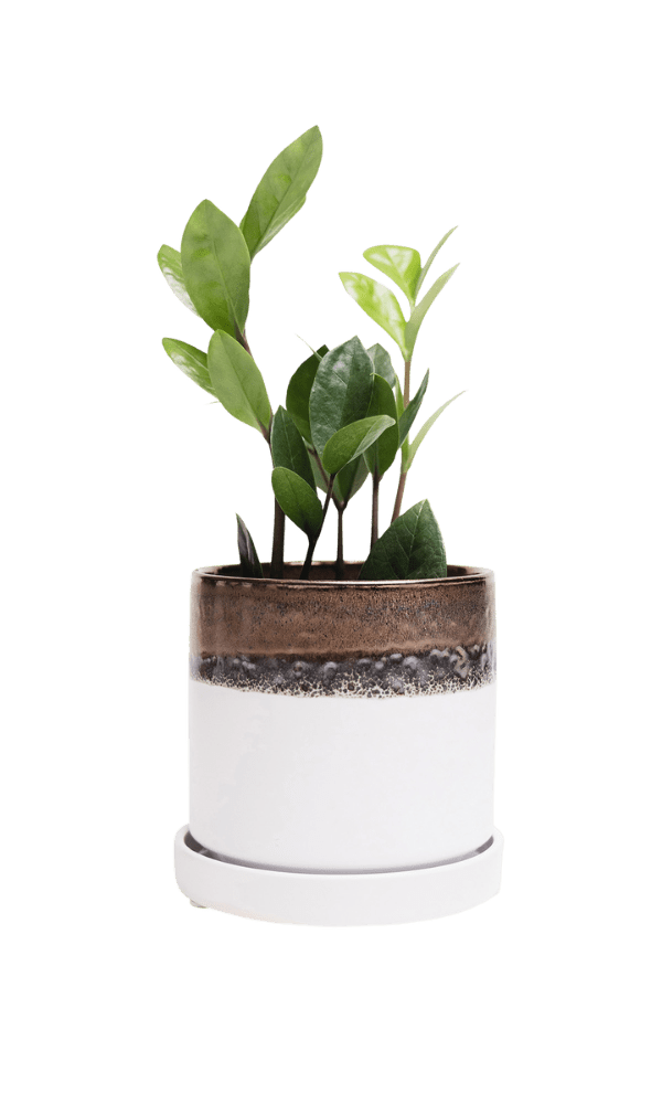 Minute Ceramic Pot And Saucer Set With Drainage - Chive Ceramics Studio - Pots - Chive Ceramics Studio