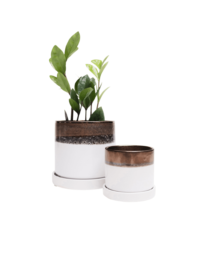 Minute Ceramic Pot And Saucer Set With Drainage - Chive Ceramics Studio - Pots - Chive Ceramics Studio