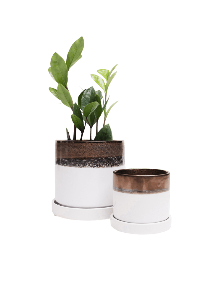 Minute Ceramic Pot And Saucer Set With Drainage - Chive Ceramics Studio - Pots - Chive Ceramics Studio