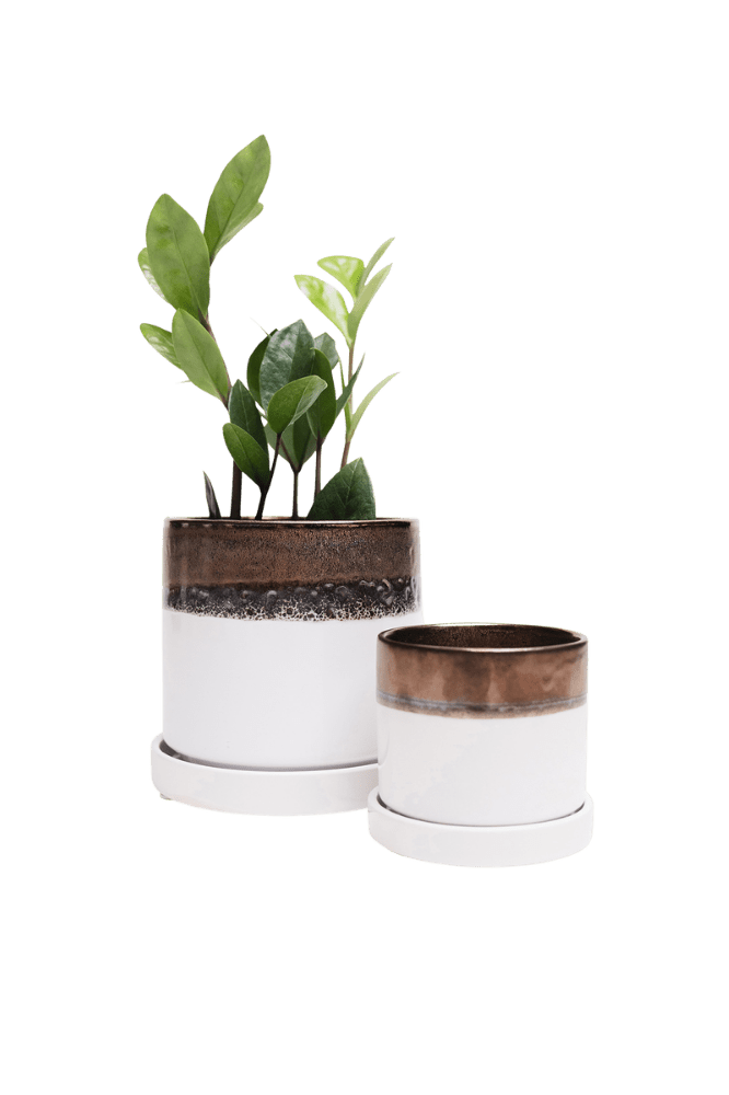 Minute Ceramic Pot And Saucer Set With Drainage - Chive Ceramics Studio - Pots - Chive Ceramics Studio