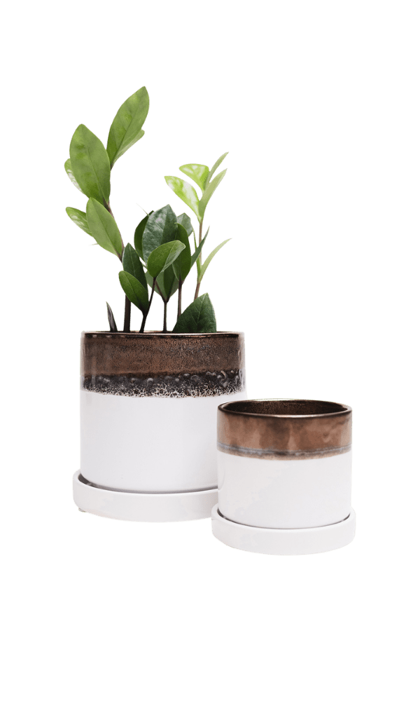 Minute Ceramic Pot And Saucer Set With Drainage - Chive Ceramics Studio - Pots - Chive Ceramics Studio