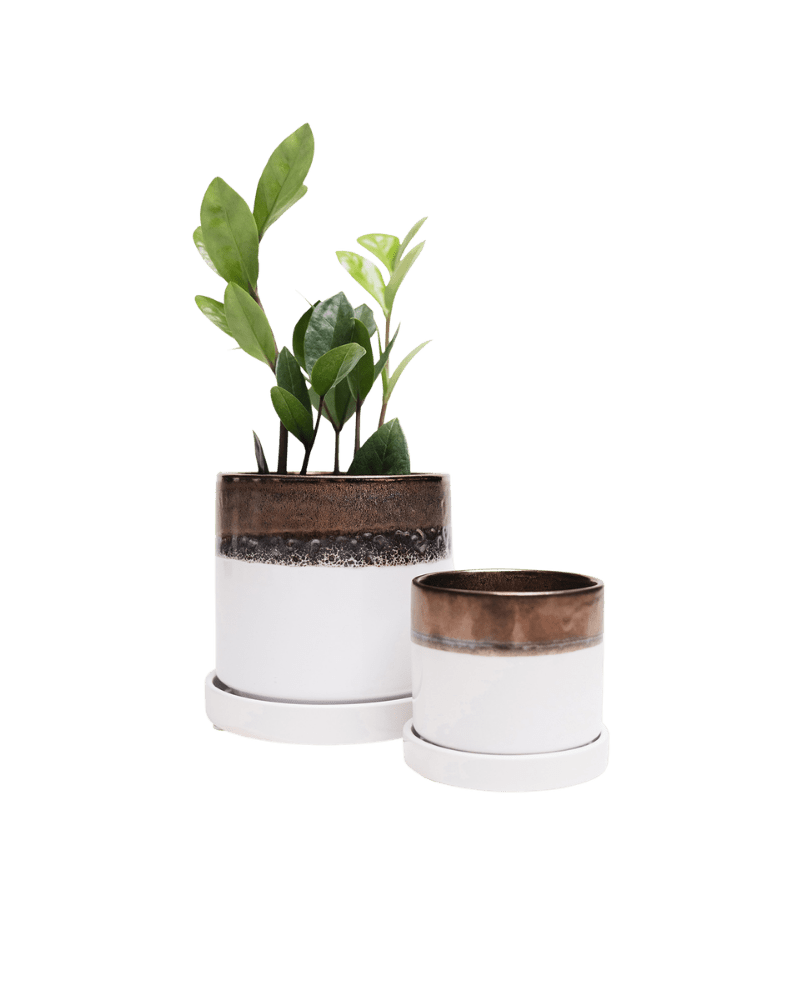 Minute Ceramic Pot And Saucer Set With Drainage - Chive Ceramics Studio - Pots - Chive Ceramics Studio