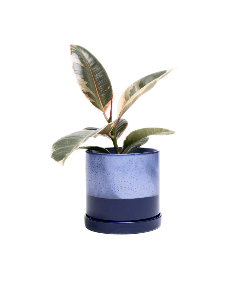 Minute Ceramic Pot And Saucer Set With Drainage - Chive Ceramics Studio - Pots - Chive Ceramics Studio