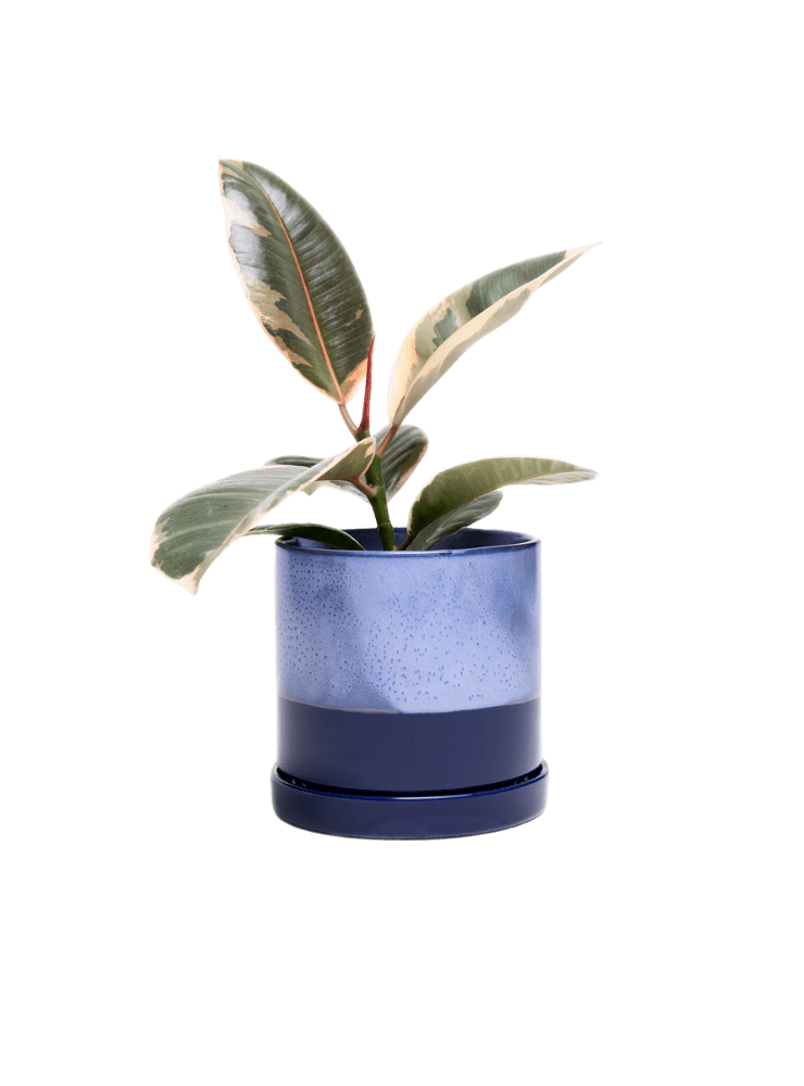 Minute Ceramic Pot And Saucer Set With Drainage - Chive Ceramics Studio - Pots - Chive Ceramics Studio