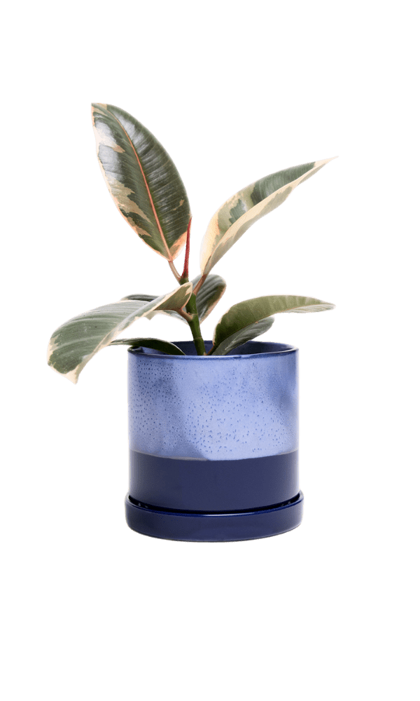 Minute Ceramic Pot And Saucer Set With Drainage - Chive Ceramics Studio - Pots - Chive Ceramics Studio