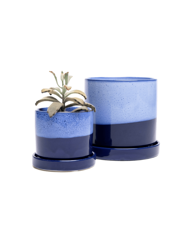 Minute Ceramic Pot And Saucer Set With Drainage - Chive Ceramics Studio - Pots - Chive Ceramics Studio