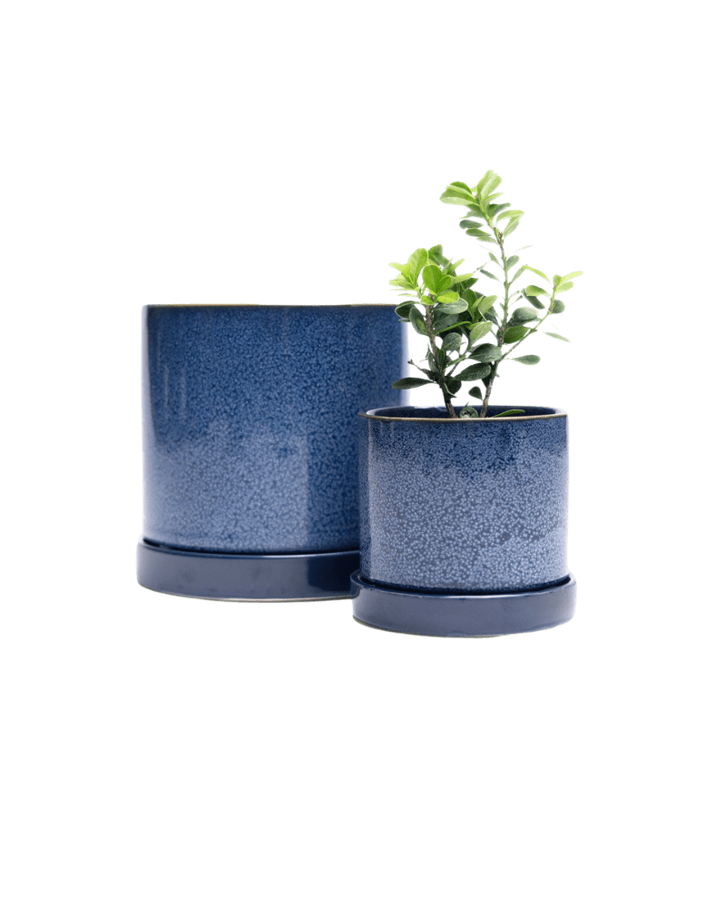 Minute Ceramic Pot And Saucer Set With Drainage - Chive Ceramics Studio - Pots - Chive Ceramics Studio