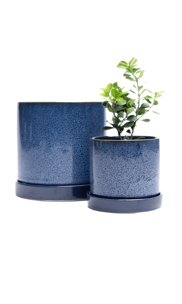 Minute Ceramic Pot And Saucer Set With Drainage - Chive Ceramics Studio - Pots - Chive Ceramics Studio