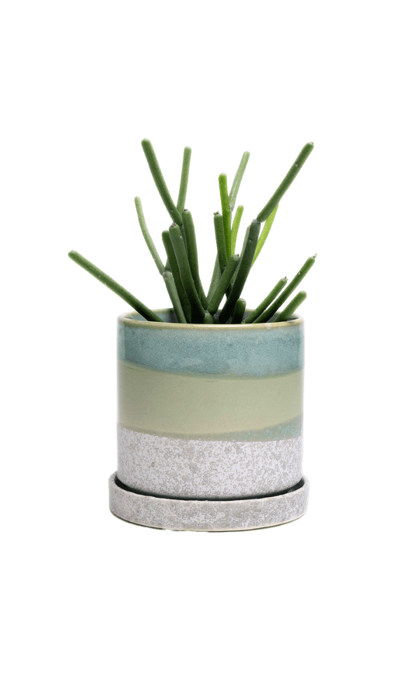 Minute Ceramic Pot And Saucer Set With Drainage - Chive Ceramics Studio - Pots - Chive Ceramics Studio