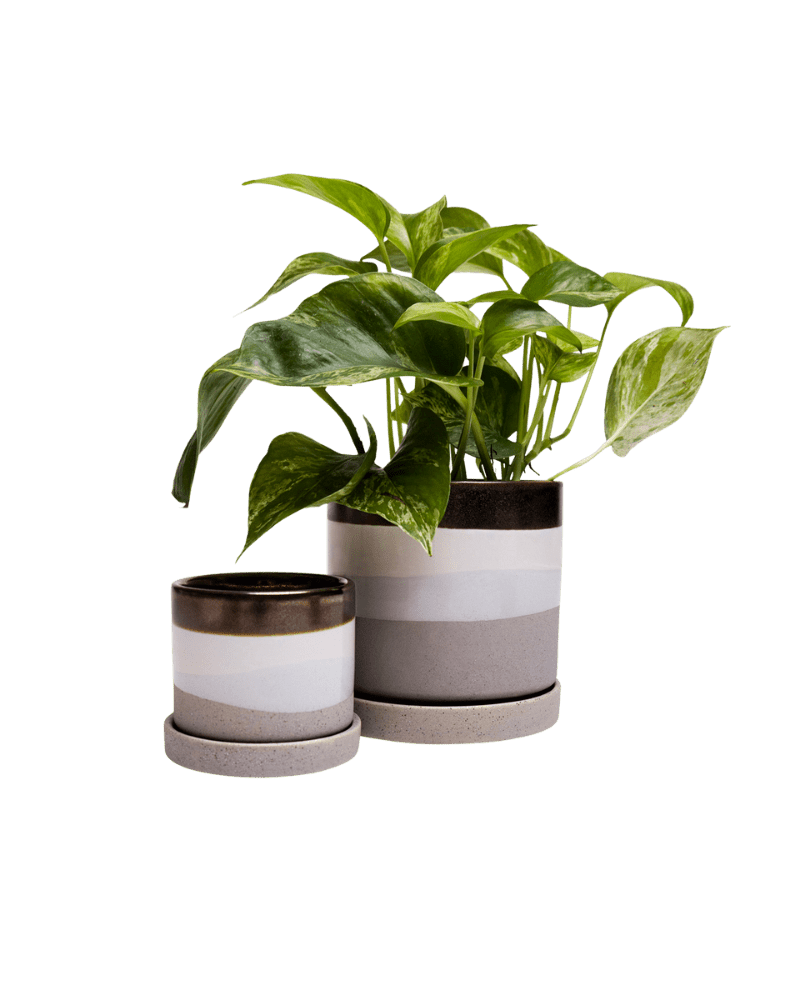 Minute Ceramic Pot And Saucer Set With Drainage - Chive Ceramics Studio - Pots - Chive Ceramics Studio