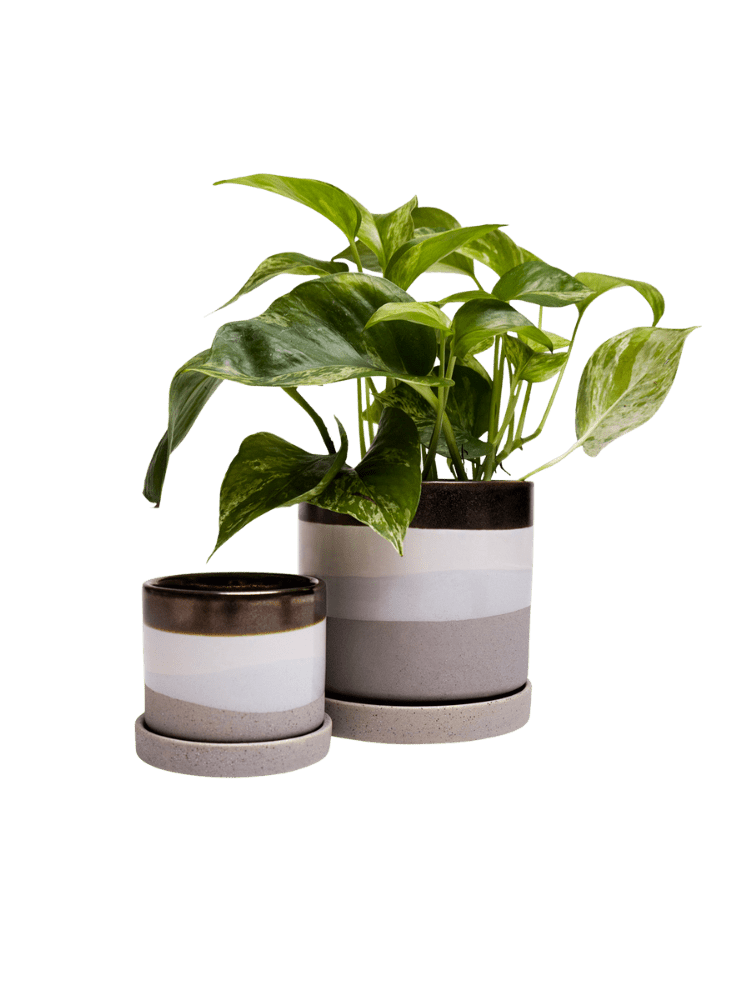 Minute Ceramic Pot And Saucer Set With Drainage - Chive Ceramics Studio - Pots - Chive Ceramics Studio