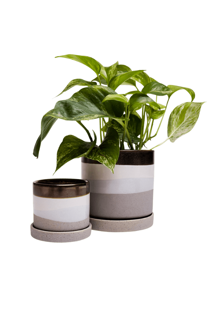 Minute Ceramic Pot And Saucer Set With Drainage - Chive Ceramics Studio - Pots - Chive Ceramics Studio