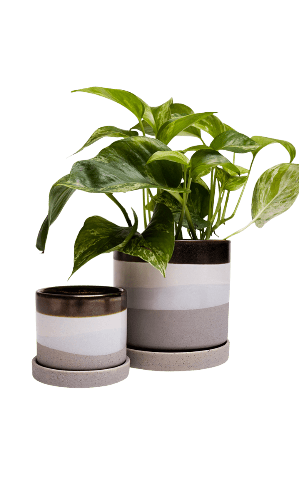 Minute Ceramic Pot And Saucer Set With Drainage - Chive Ceramics Studio - Pots - Chive Ceramics Studio