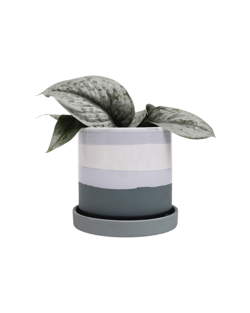 Minute Ceramic Pot And Saucer Set With Drainage - Chive Ceramics Studio - Pots - Chive Ceramics Studio