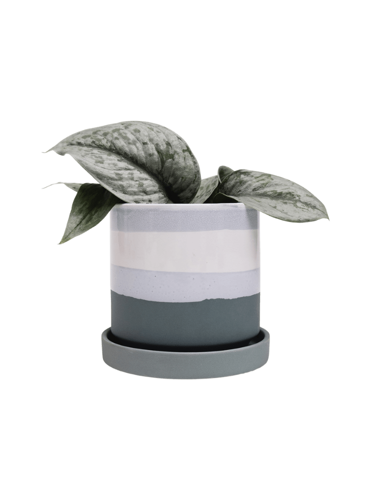 Minute Ceramic Pot And Saucer Set With Drainage - Chive Ceramics Studio - Pots - Chive Ceramics Studio