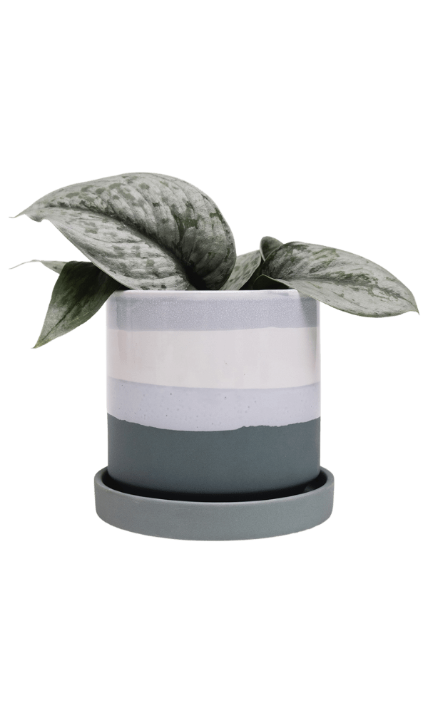 Minute Ceramic Pot And Saucer Set With Drainage - Chive Ceramics Studio - Pots - Chive Ceramics Studio