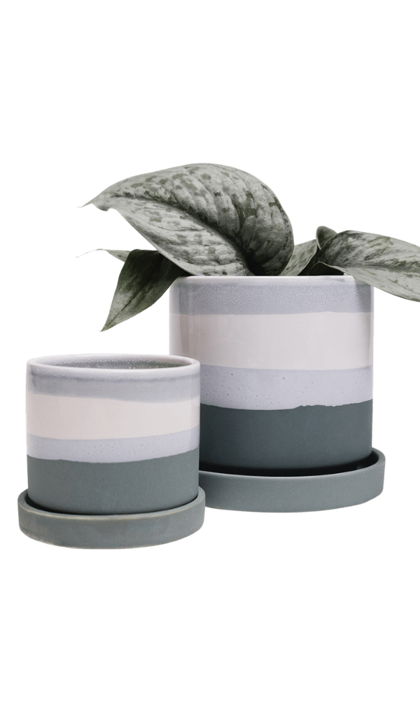 Minute Ceramic Pot And Saucer Set With Drainage - Chive Ceramics Studio - Pots - Chive Ceramics Studio