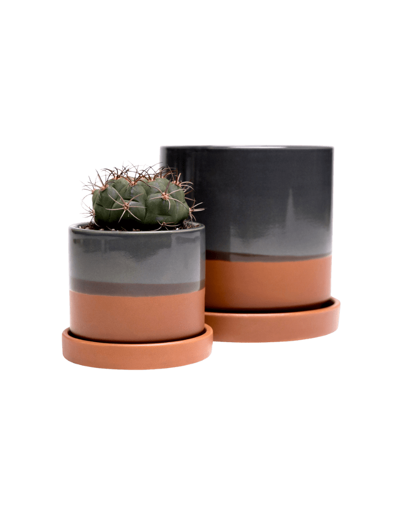 Minute Ceramic Pot And Saucer Set With Drainage - Chive Ceramics Studio - Pots - Chive Ceramics Studio