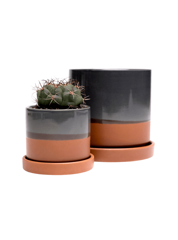 Minute Ceramic Pot And Saucer Set With Drainage - Chive Ceramics Studio - Pots - Chive Ceramics Studio