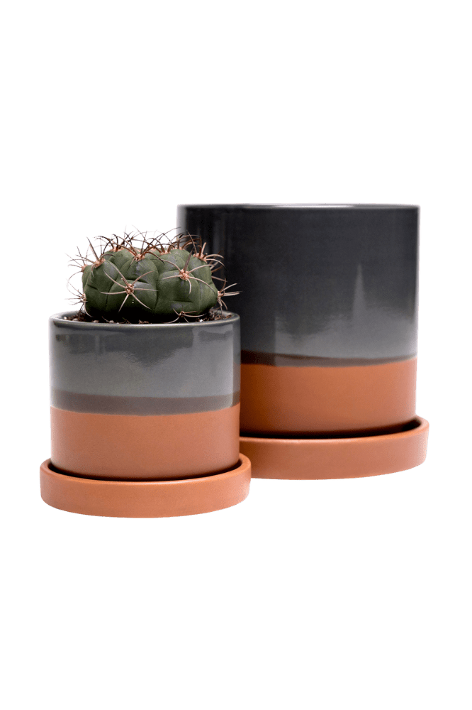 Minute Ceramic Pot And Saucer Set With Drainage - Chive Ceramics Studio - Pots - Chive Ceramics Studio