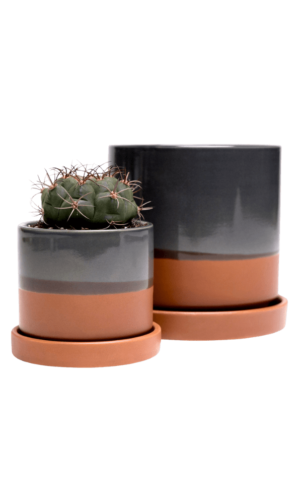 Minute Ceramic Pot And Saucer Set With Drainage - Chive Ceramics Studio - Pots - Chive Ceramics Studio